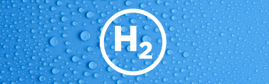 Hydrogen cars lift off - Fleet Alliance