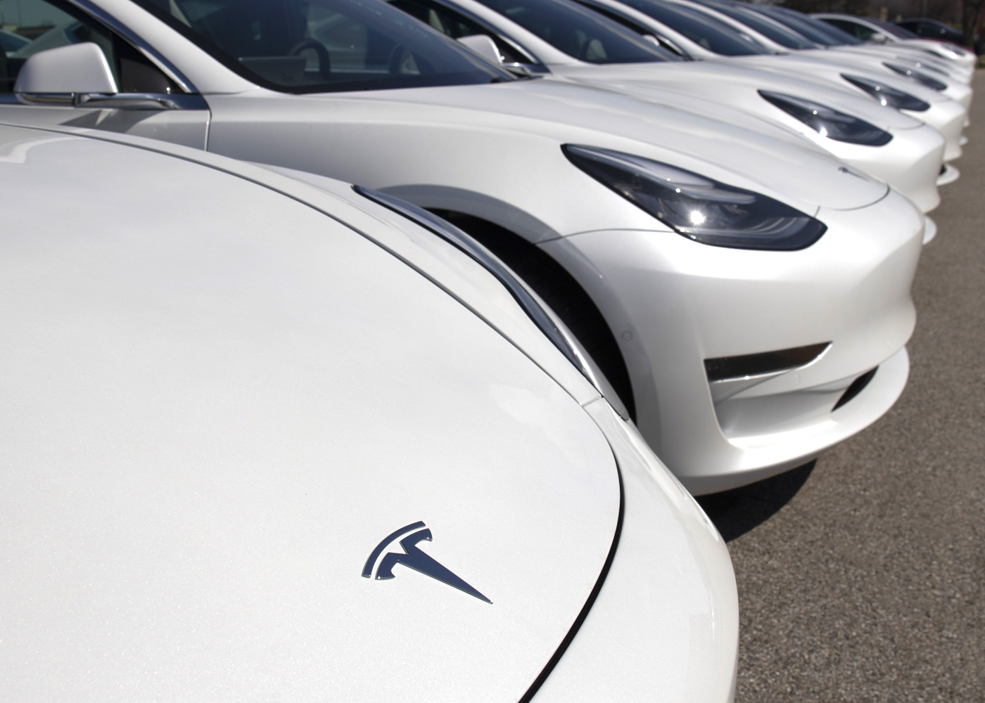 Fleet Alliance sees huge surge in electric vehicle orders