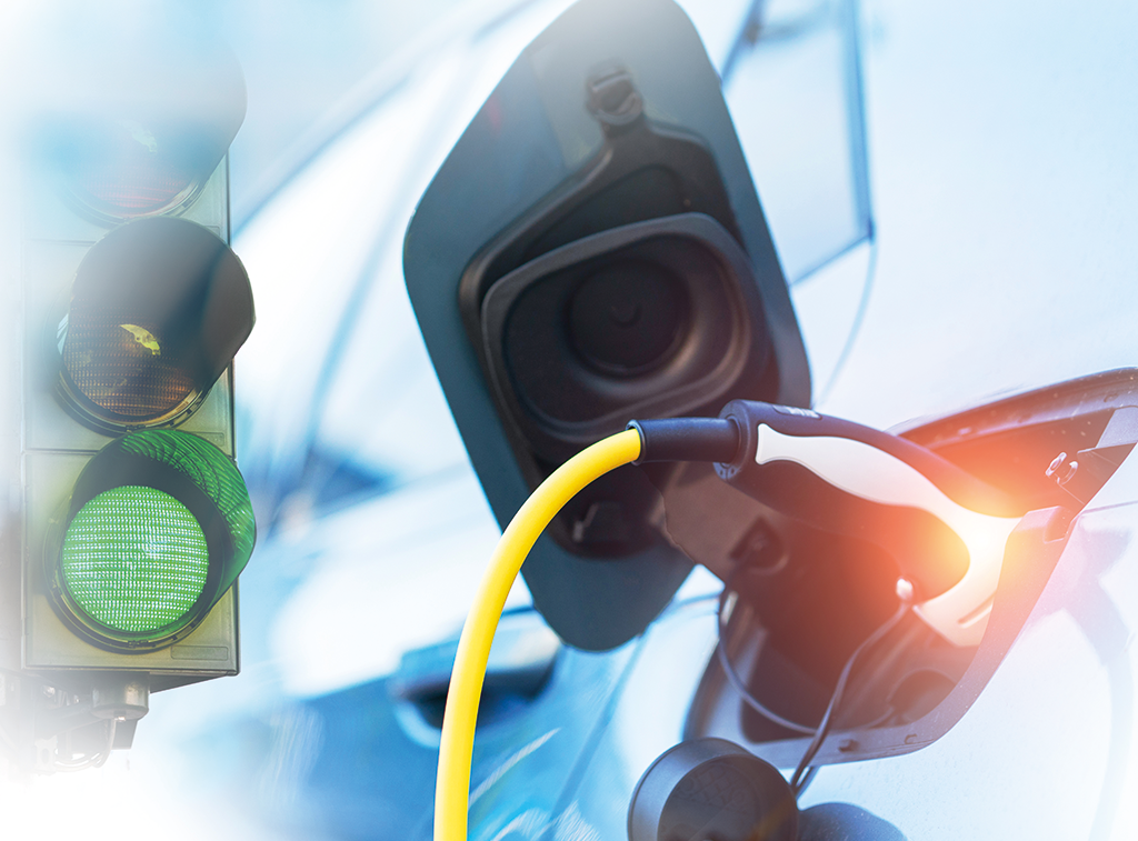 How will fleets and salary sacrifice schemes benefit from the Electric Car Grant?