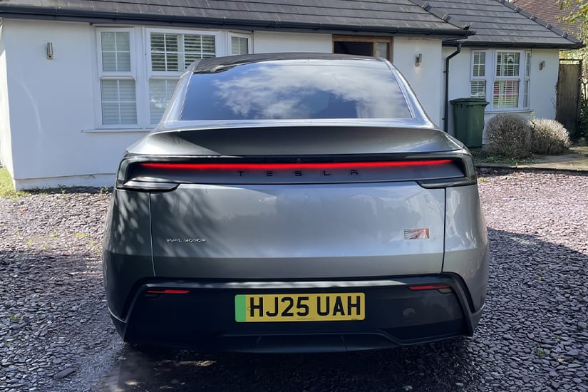 Model Y from behind